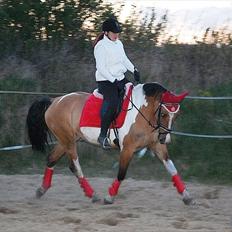 Anden særlig race Lunderskovs Watch Me