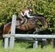 Hannoveraner Livingstone I
