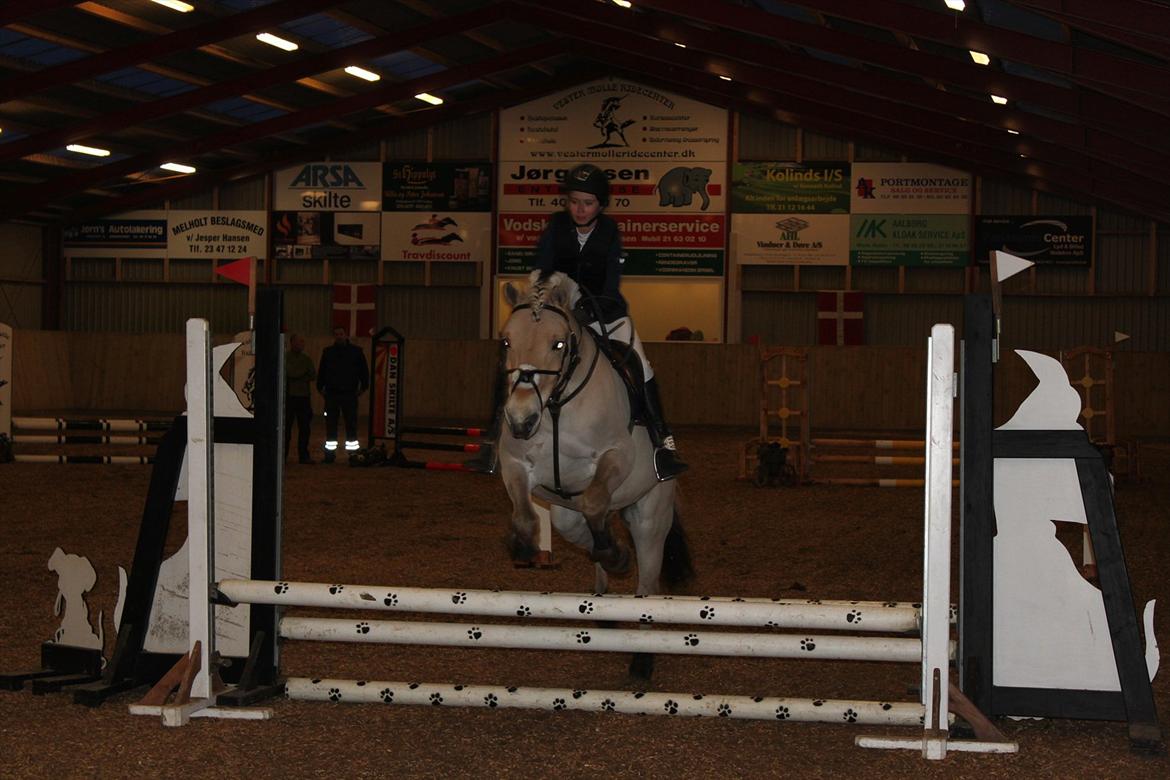 Fjordhest Neptun Skovå - Nepper's første springstævne, til Nordfjordhestestævnet i Langholt Rideforsamling. Her i en LD :) billede 8