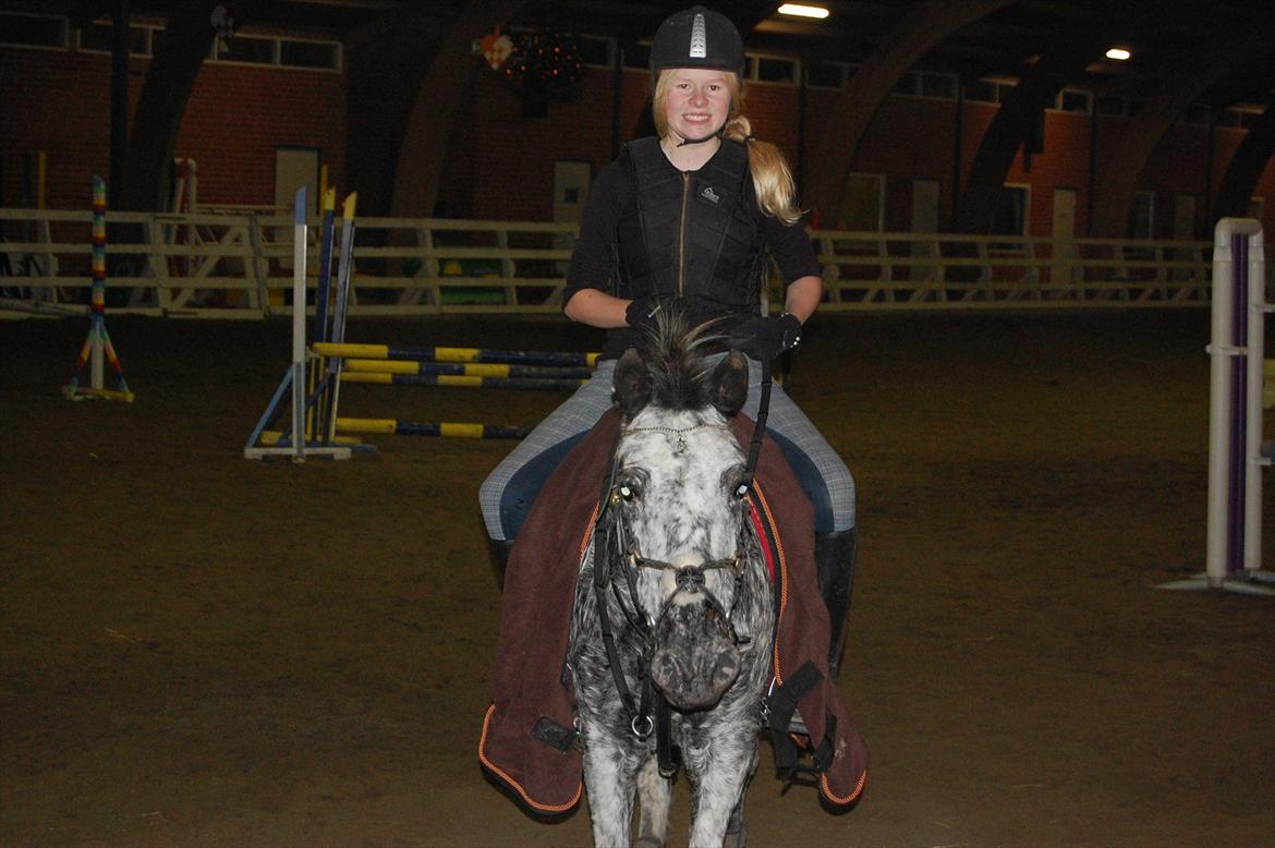Appaloosa Benno - Efter springundervisning. billede 19