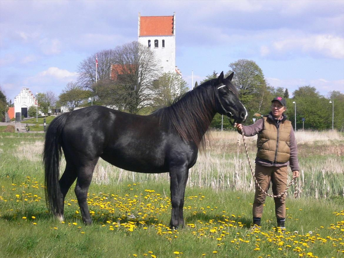 Anden særlig race Gazella RIP - På tur op til engen, Maj 2012 billede 1