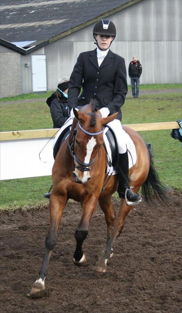 DSP Leonardo -Solgt :'( billede 15