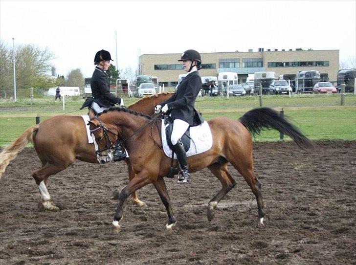 DSP Leonardo -Solgt :'( billede 16