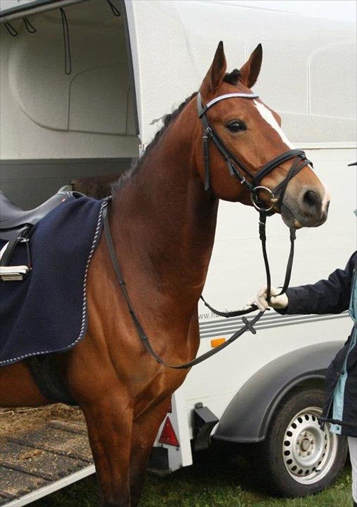 DSP Leonardo -Solgt :'( billede 1