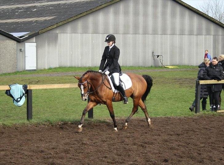 DSP Leonardo -Solgt :'( billede 17