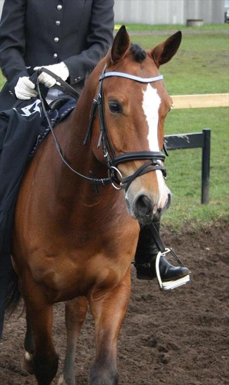 DSP Leonardo -Solgt :'( billede 18