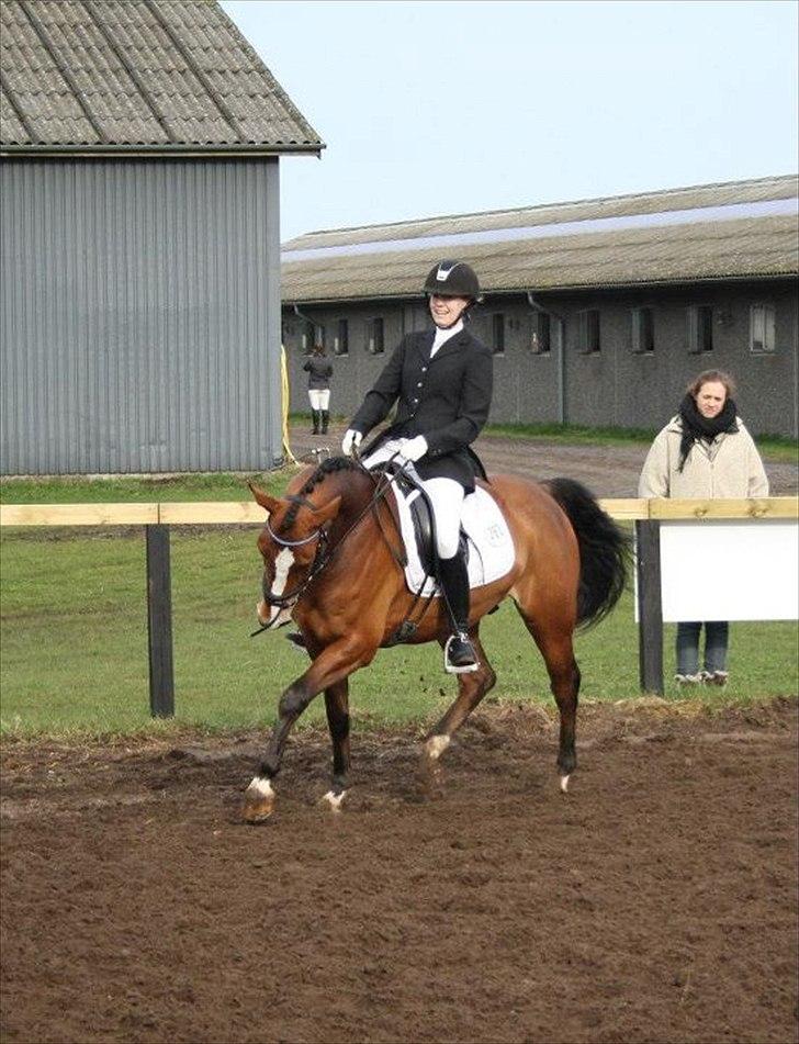 DSP Leonardo -Solgt :'( billede 19