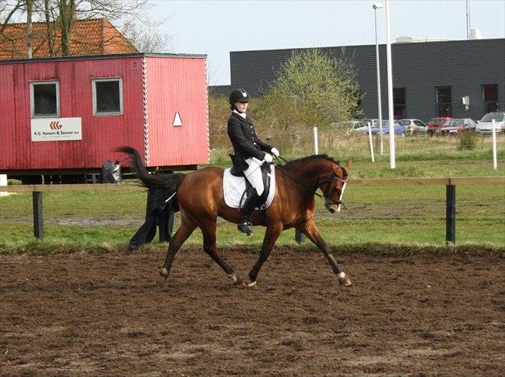 DSP Leonardo -Solgt :'( billede 20