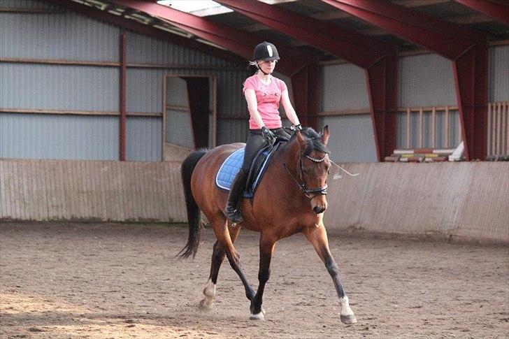 Pinto Krastrup's Impulz - Schenkelvigning den 5. maj 2012
Billedet er taget af Maja Baun billede 18