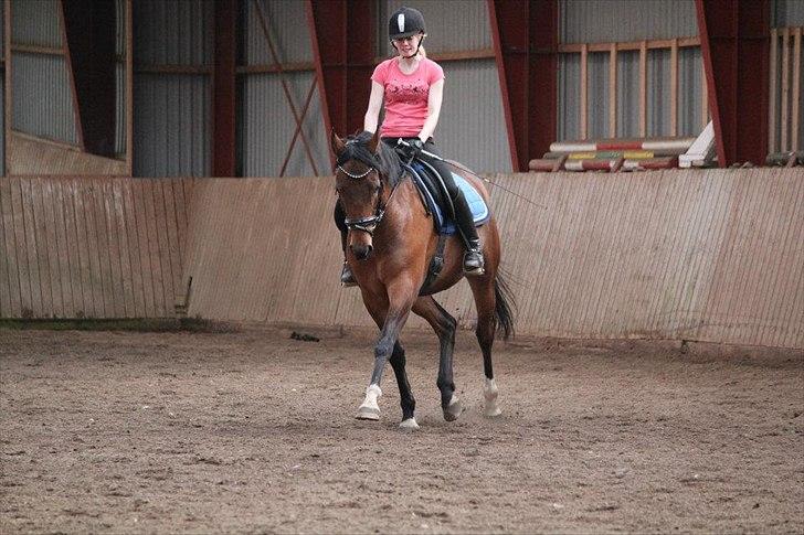 Pinto Krastrup's Impulz - Øgning den 5. maj 2012
Billedet er taget af Maja Baun billede 11