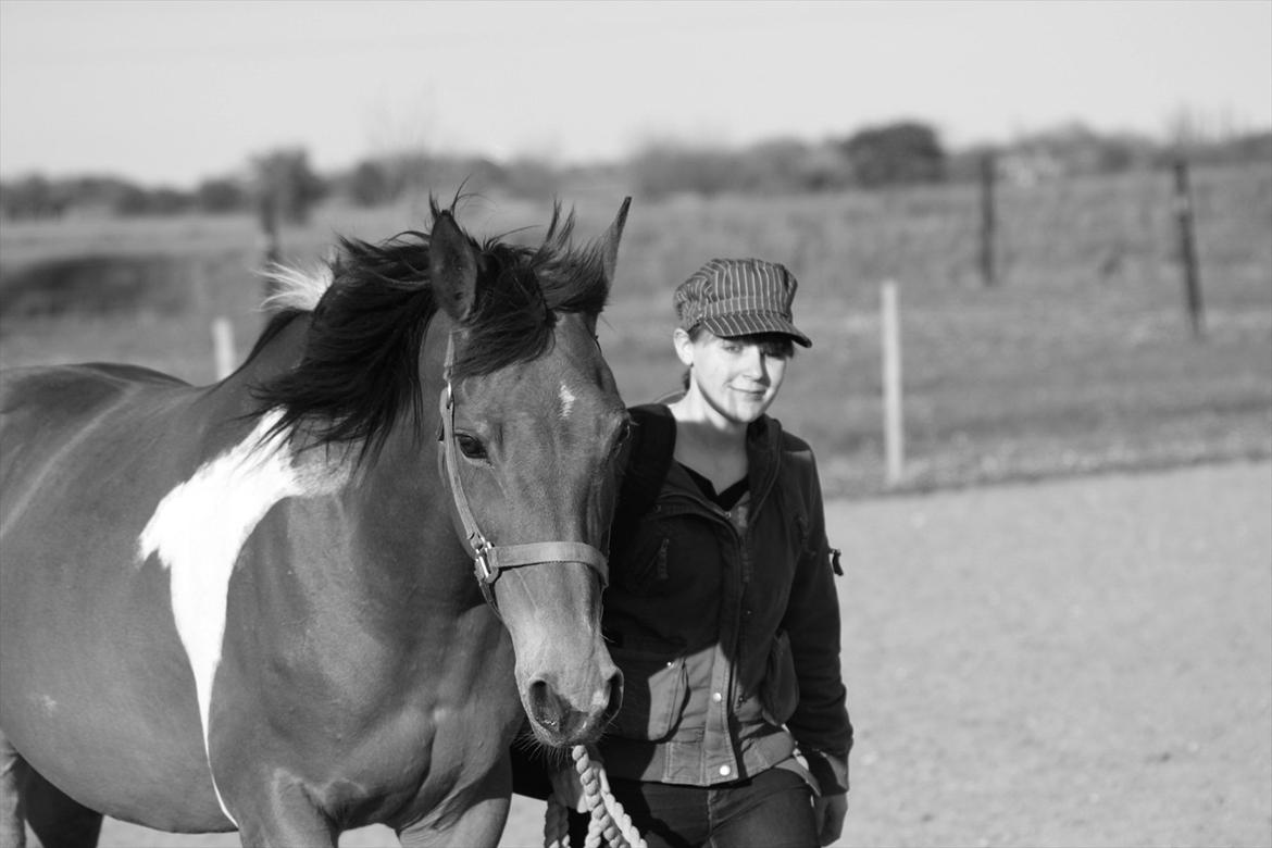 Pinto Madeline billede 15