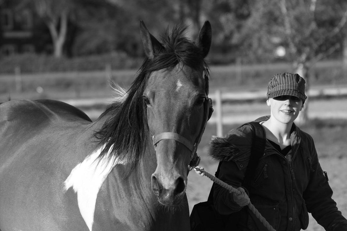 Pinto Madeline billede 16