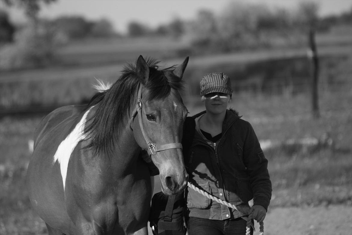 Pinto Madeline billede 17