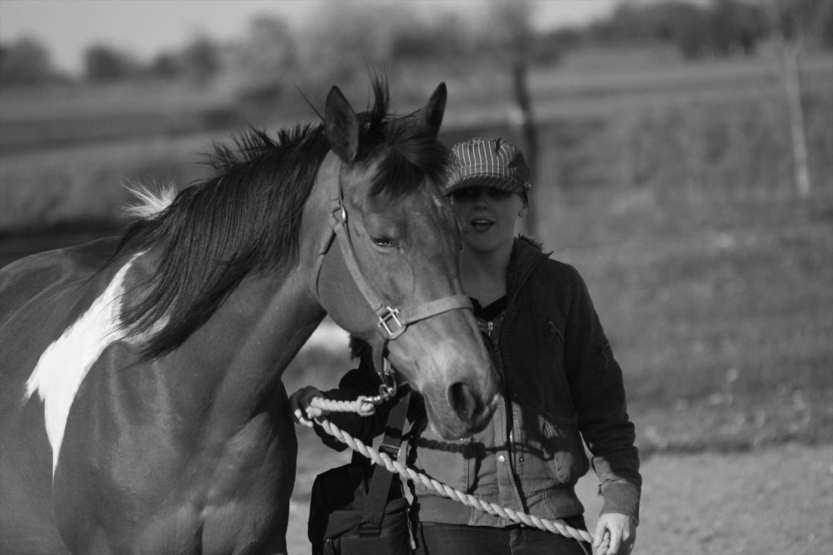 Pinto Madeline billede 18