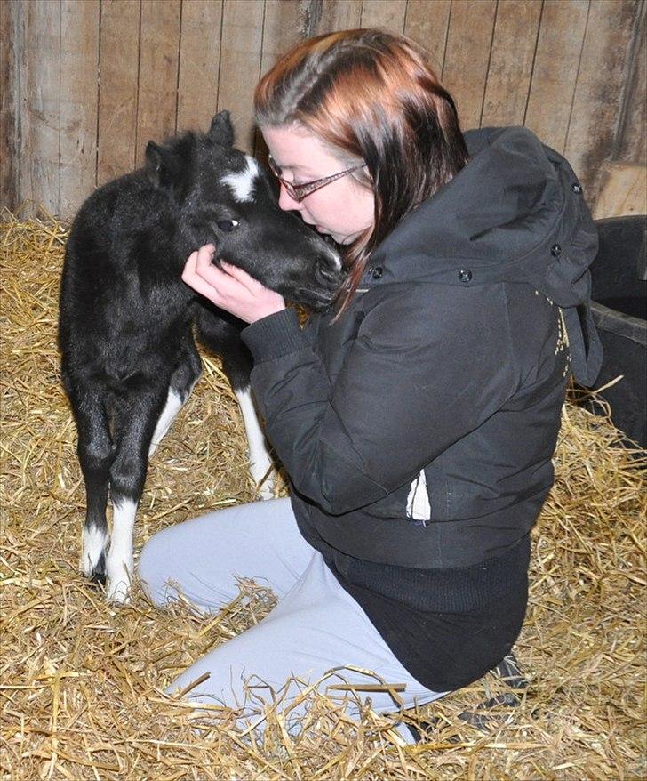 Anden særlig race » Hegnsholts Ziba <3 « R.I.P <3 - Ziba og mig, 6. maj 2012 :) billede 8