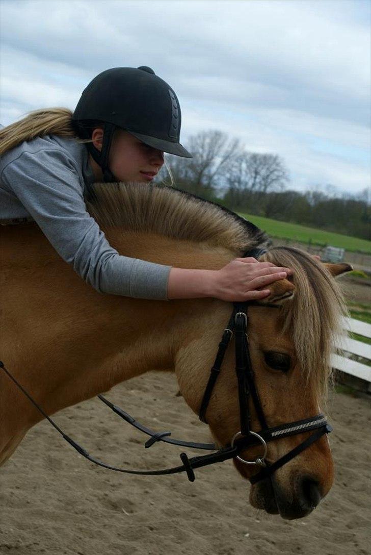 Anden særlig race Kontra billede 1