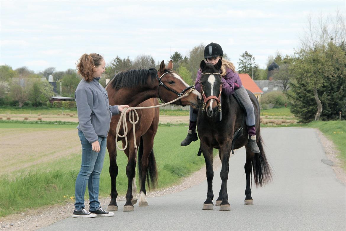 Anden særlig race Mischa - Mischa og hendes part Cecilia og Sahra og Atento 2012 (mig som fotograf) billede 7