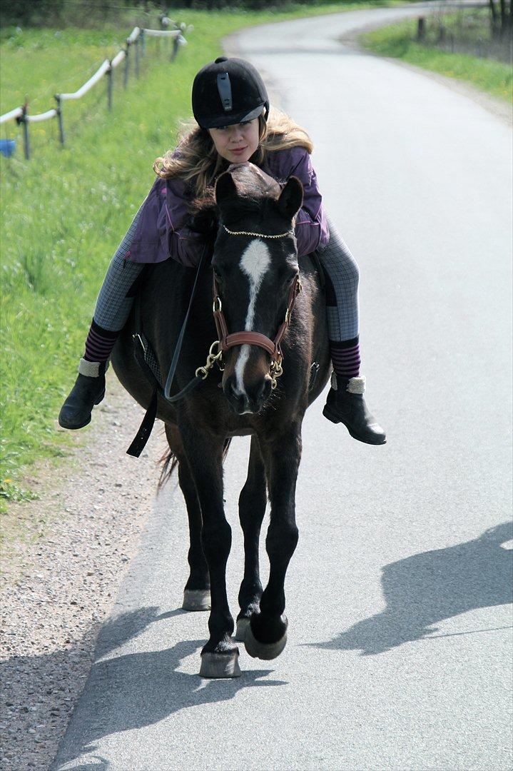 Anden særlig race Mischa - Mischa og Cille, 2012 billede 19