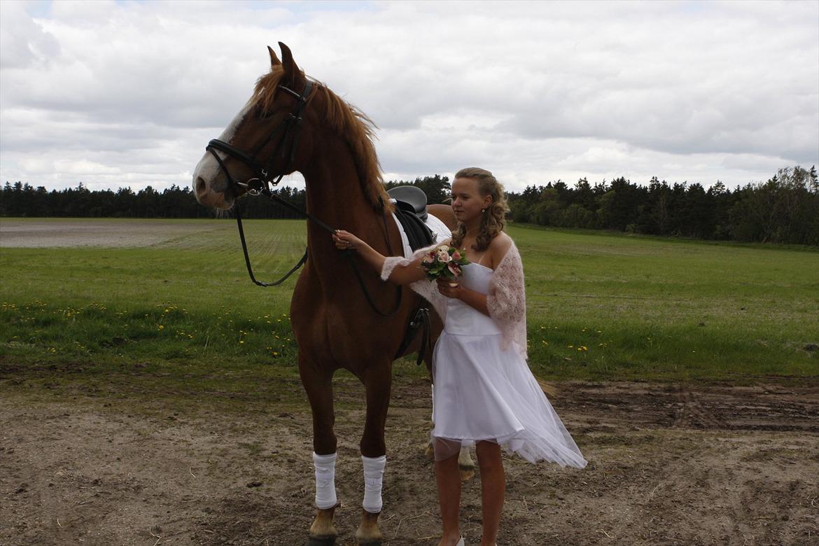 Frederiksborg Hubert. billede 1