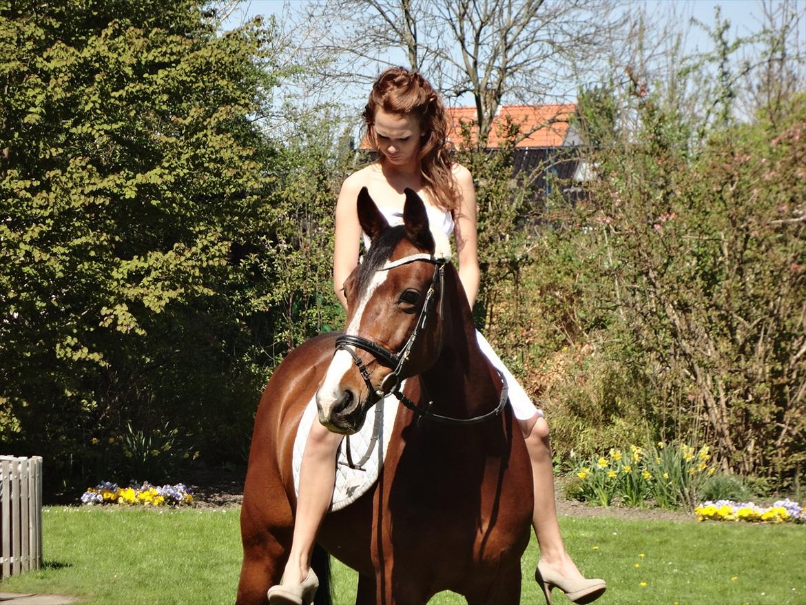 Dansk Varmblod Fantasy [Tidl. part] - En fantastisk dag med en fantastisk hest!<3 (Billede: Min far 05/05 2012)

The essential joy of being with horses is that it brings us in contact with the rare elements of grace, beauty, spirit, and fire.  - Sharon Ralls Lemon billede 6