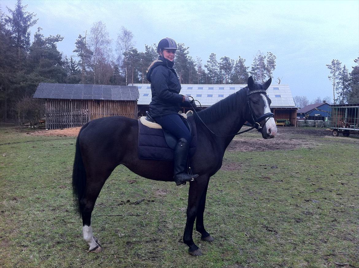 Oldenborg Beauty billede 4