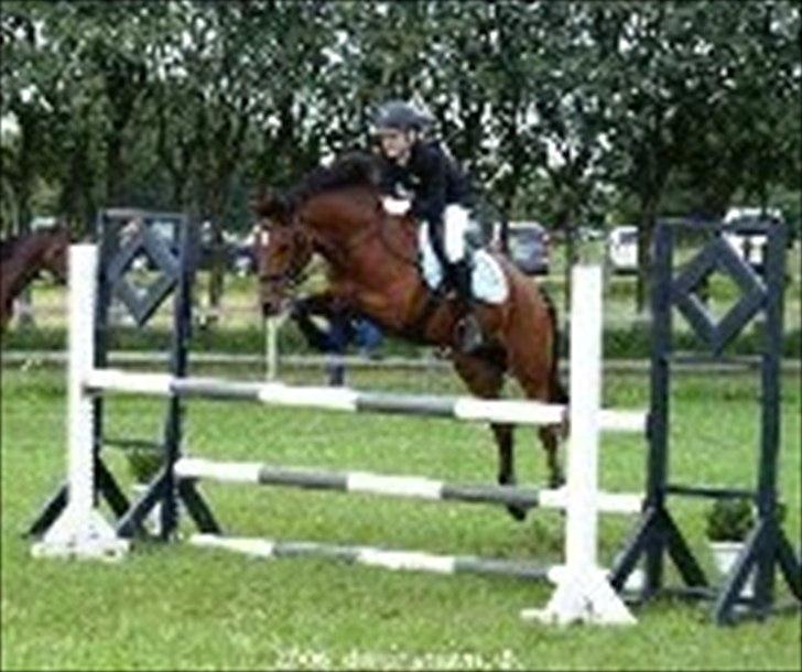 New Forest Holstegårdens D`artagnan SOLGT!! - ponyen og jeg til åbenhus på rideskolen 105 cm:-)<3<3<3 billede 9