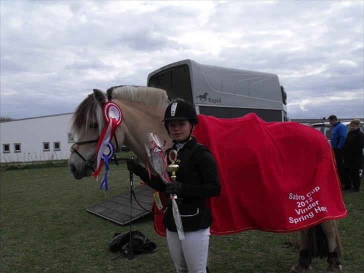 Fjordhest Cox Tidselbjerg*stjernen* - 2.plads i LE og vinder af Sabro Cup spring for hest 2012! <3 Tak for nogle fantastiske år Cox! Du det bedste! jeg elsker dig<3 billede 13