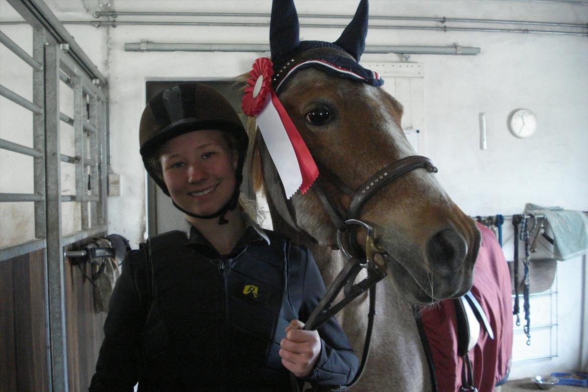 Hollandsk Sportspony billy boy! - Mig og billy efter vi vandt 2 førstepladser til 1stævne!<3 Elsker den pony!<3 billede 6