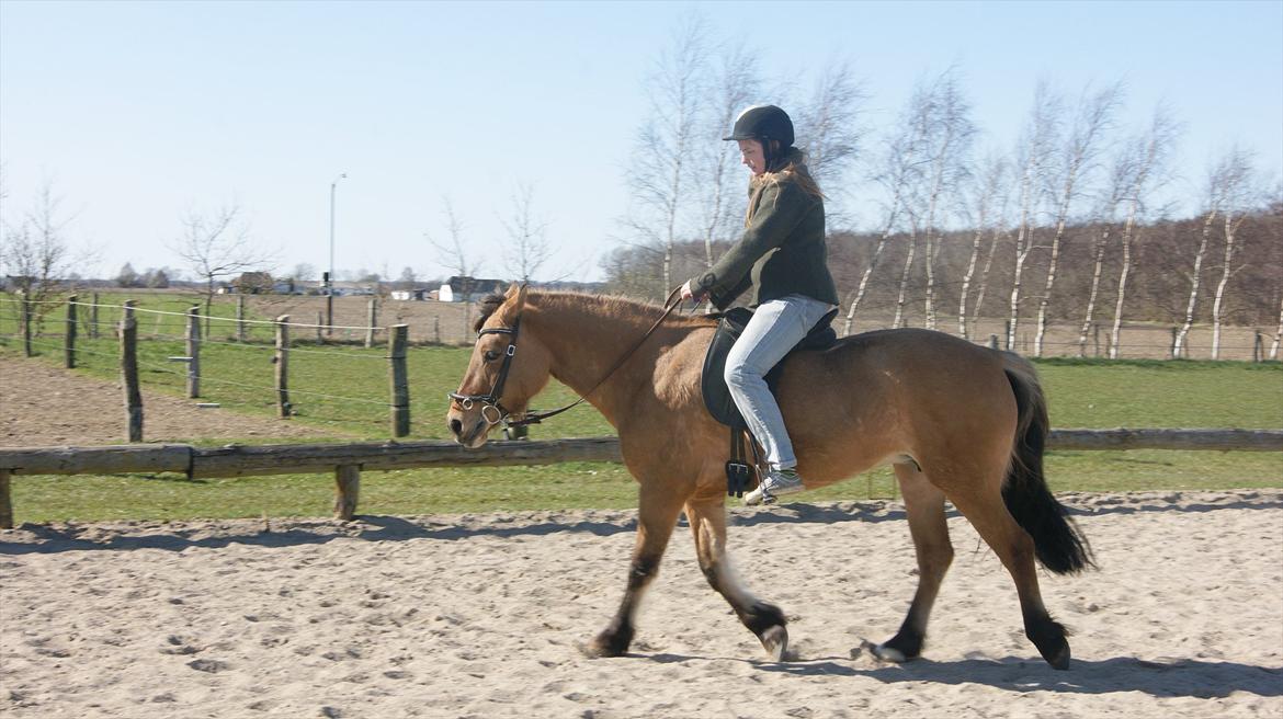 Anden særlig race fanny billede 17