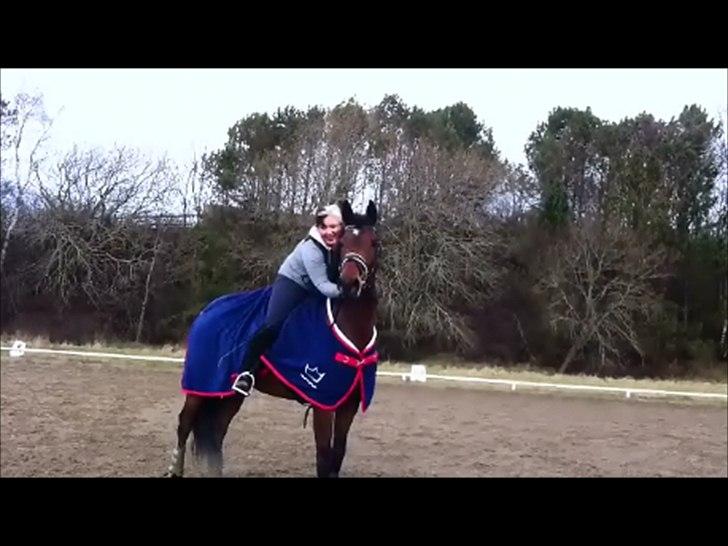 Dansk Varmblod Lobca K - [Part] billede 3