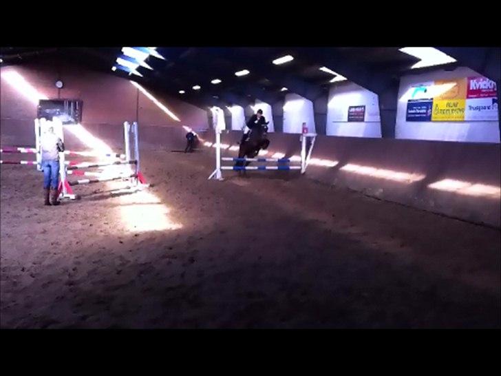 Dansk Varmblod Lobca K - [Part] billede 12