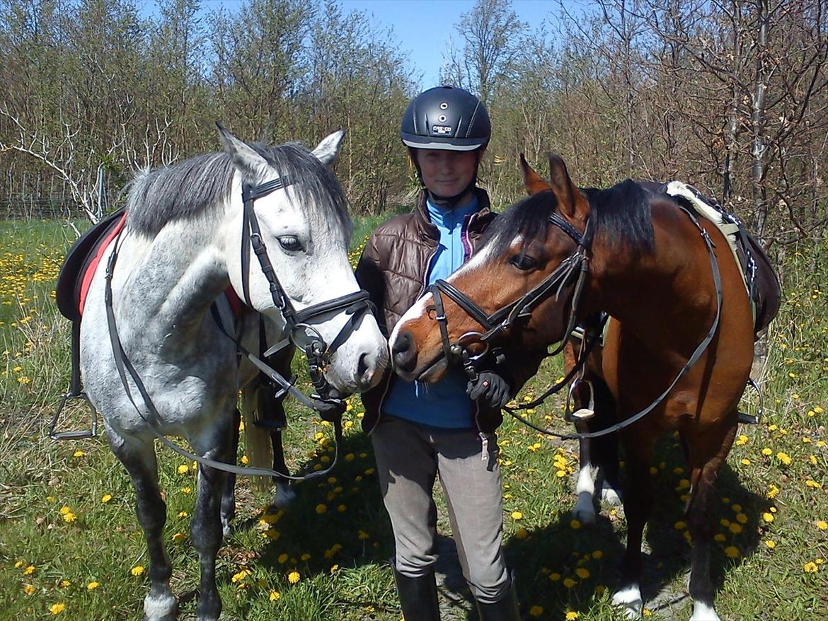 Anden særlig race Kadanza´s King - Bandit og King!<3 HYGGE!! (snuser til hendannen!!<3<3 billede 12