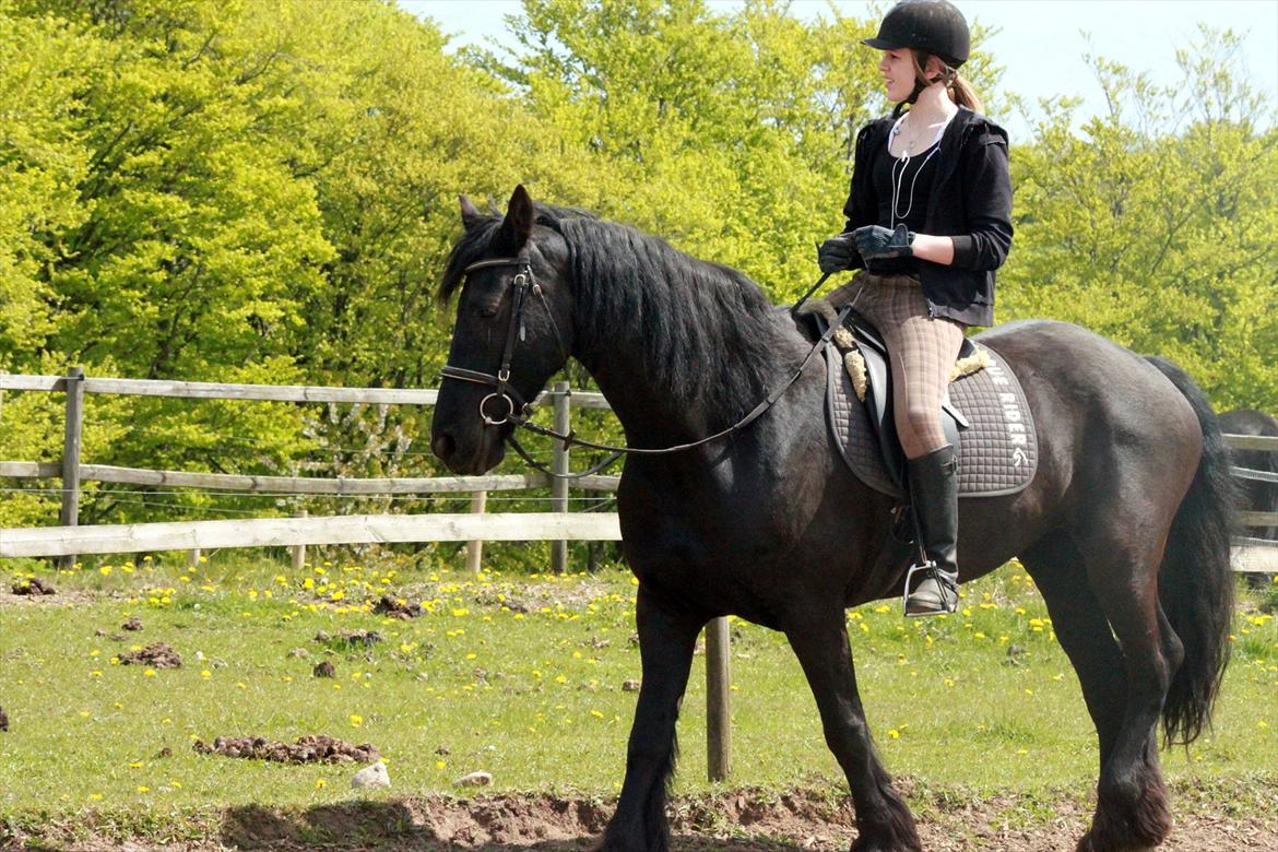 Frieser Anneke billede 9