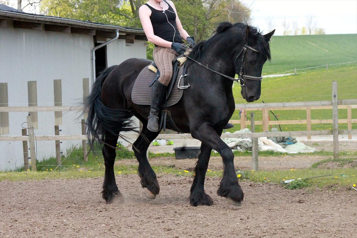 Frieser Anneke billede 2