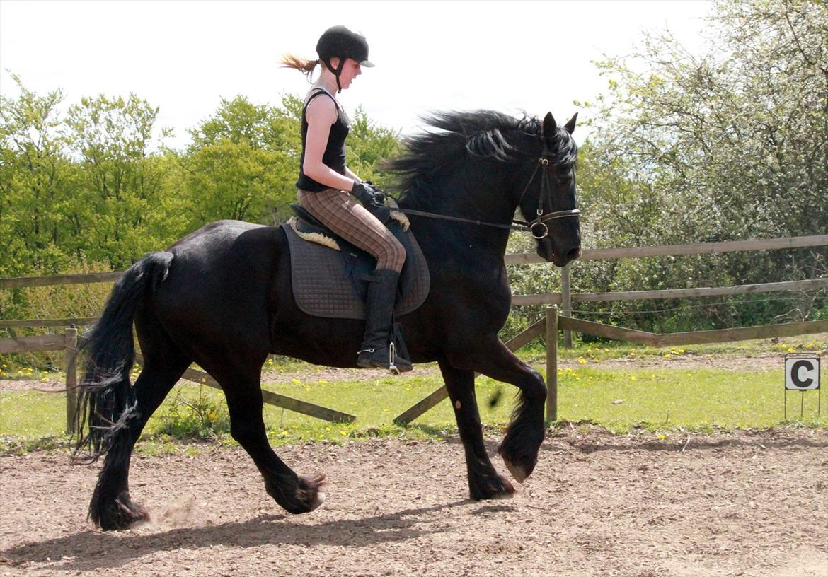 Frieser Anneke billede 12