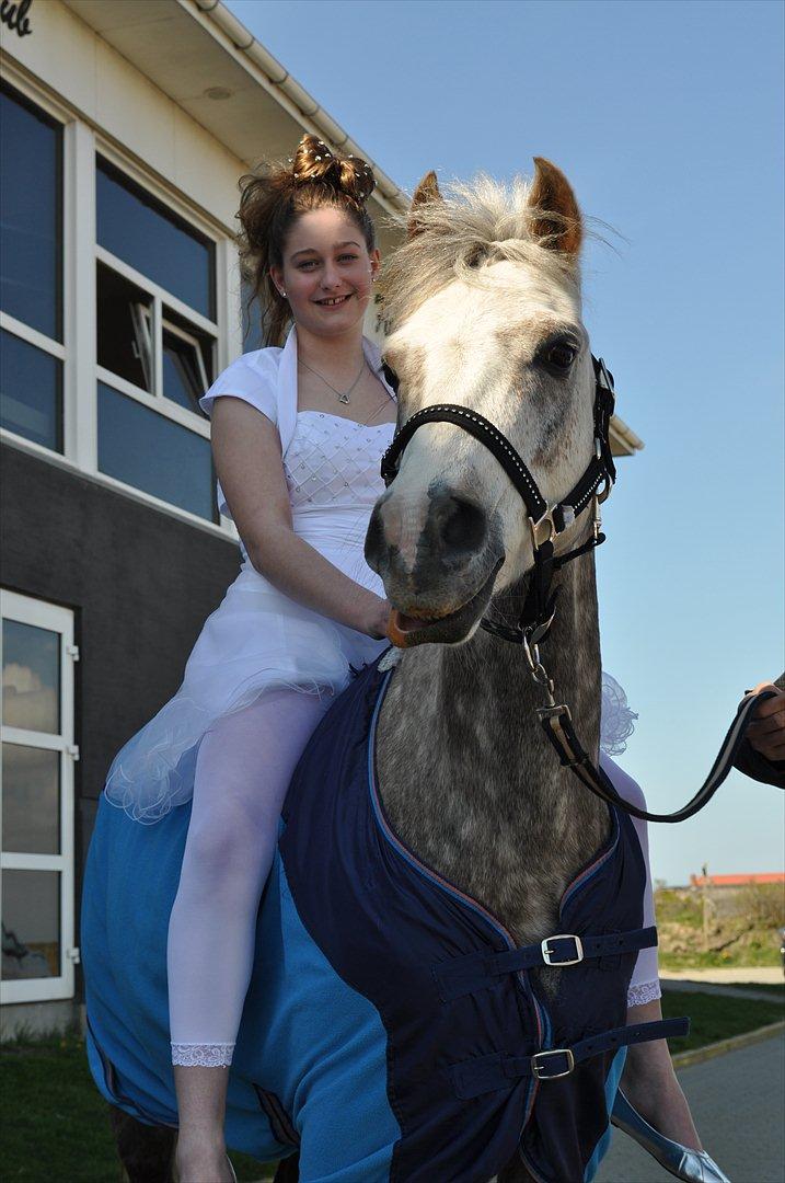 Anden særlig race Rasmus (Ramu) Solgt :'(  - jeg elsker dig!<3<3<3<3 billede 10