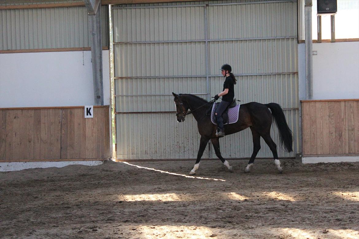 Dansk Varmblod San Luca - Mig og Luca, 2. maj 2012 Foto: Sofie Christensen billede 19