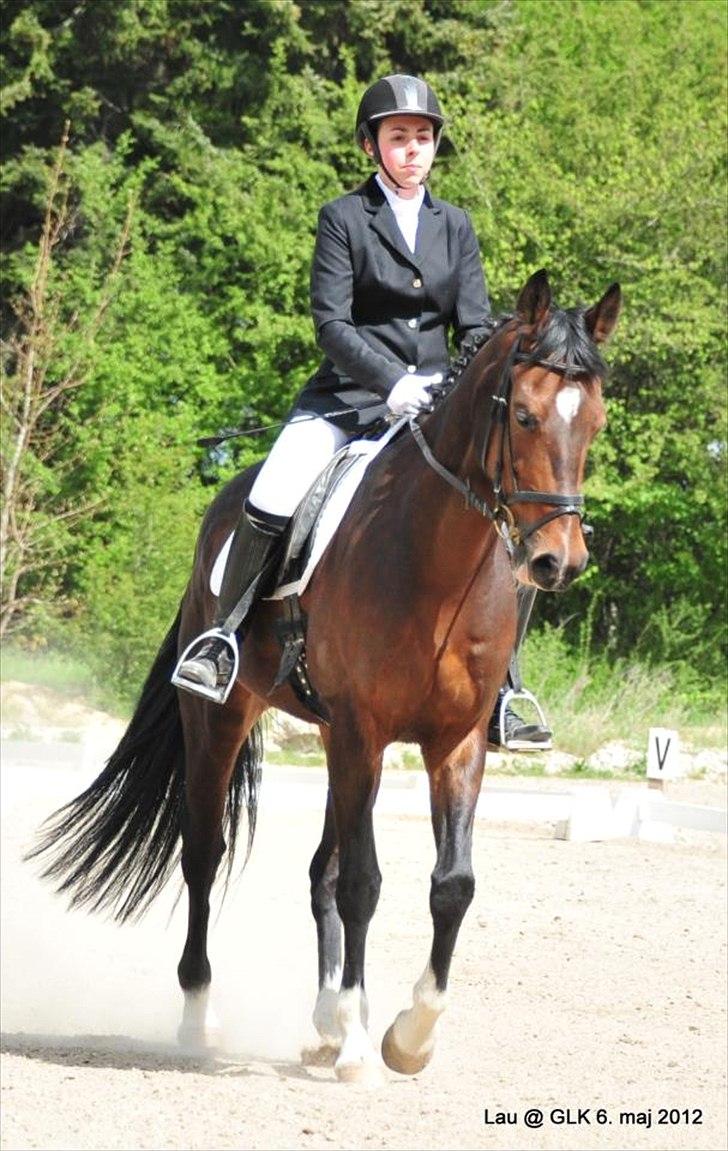 Dansk Varmblod San Luca - Mig og Luca til stævne d. 6/5-12 Foto: Lau billede 20