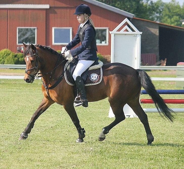 New Forest Minijos Galaksija billede 8