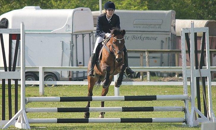 New Forest Minijos Galaksija billede 9