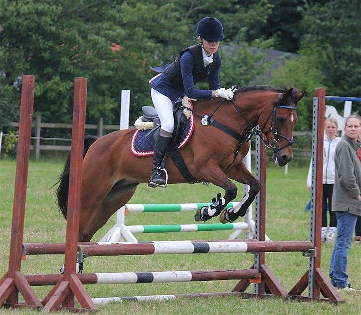 New Forest Minijos Galaksija billede 11