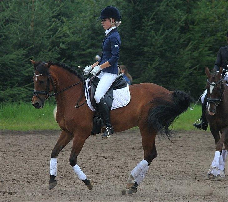 New Forest Minijos Galaksija billede 12