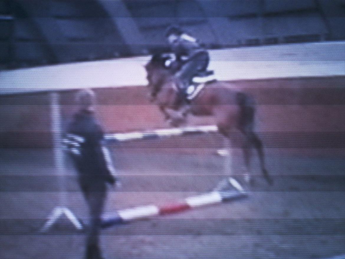 New Forest Minijos Galaksija billede 17