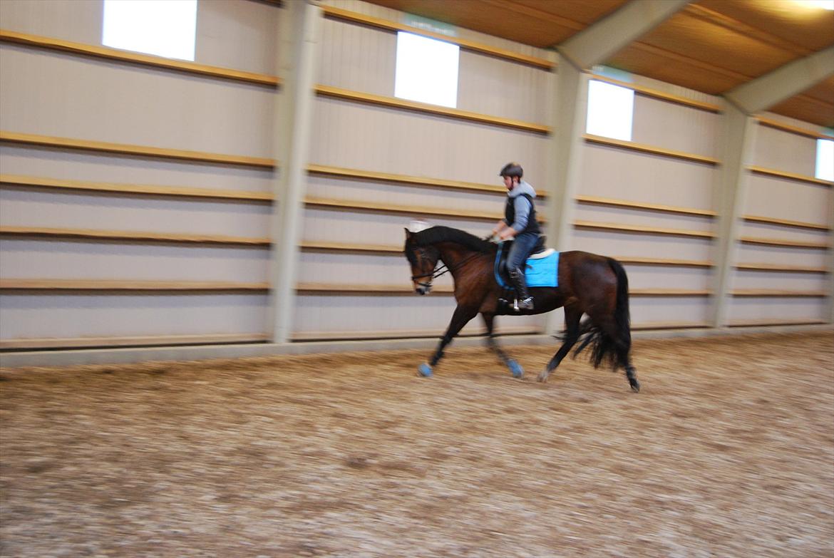 Oldenborg Korea billede 7