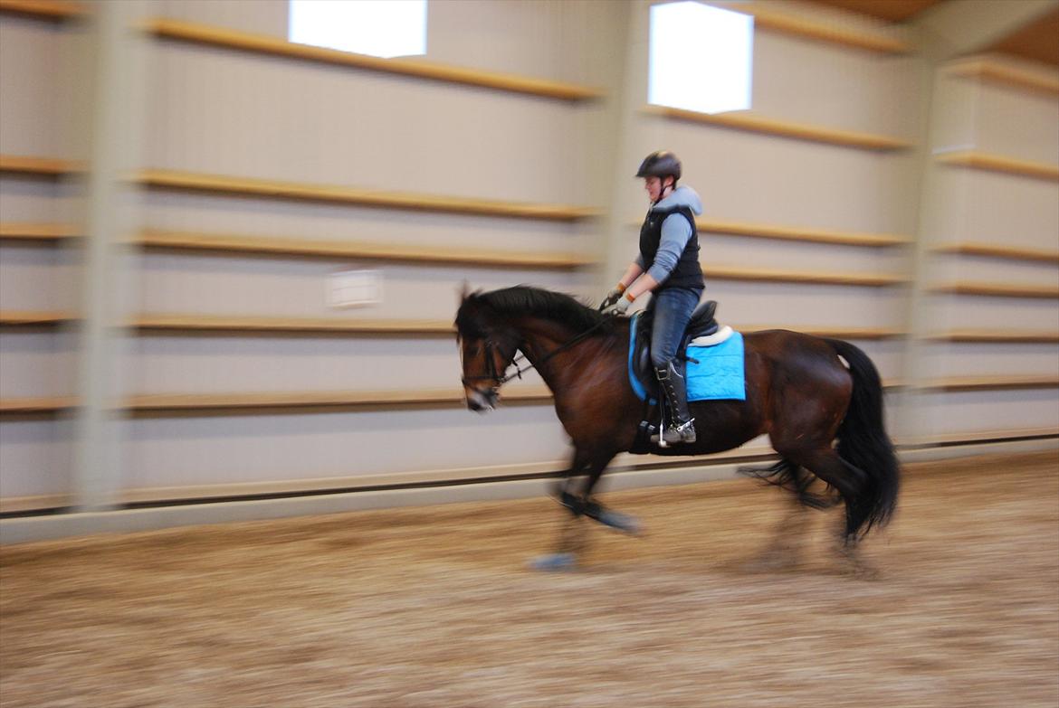 Oldenborg Korea billede 8