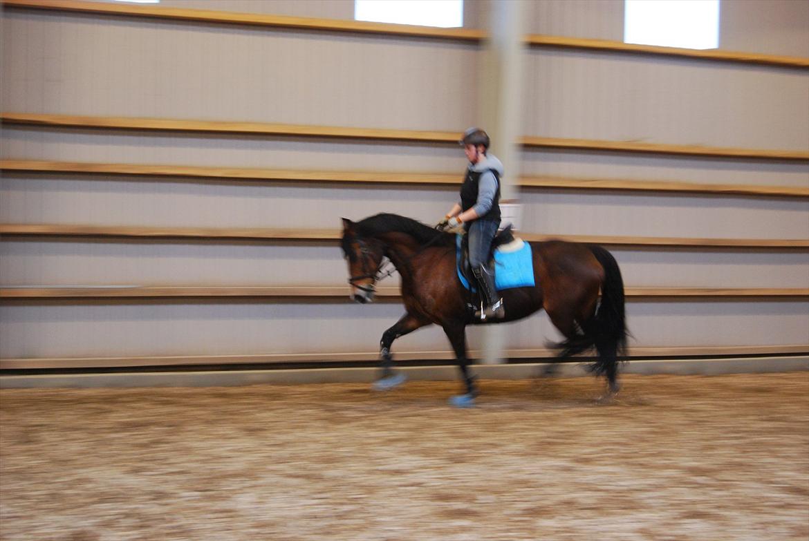 Oldenborg Korea billede 9