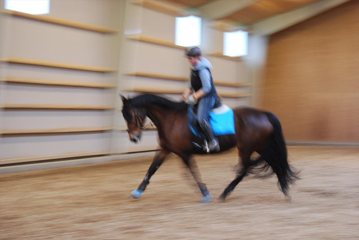 Oldenborg Korea billede 10