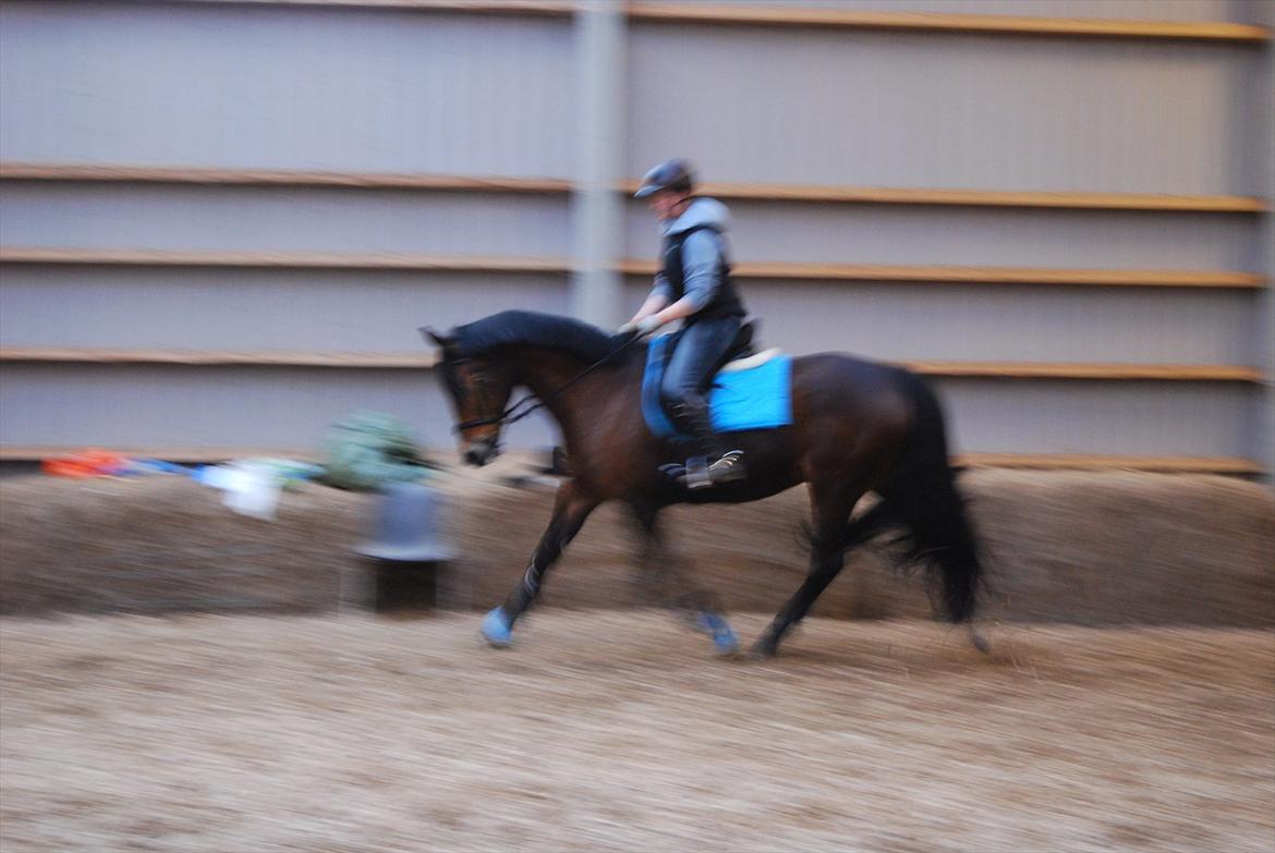 Oldenborg Korea billede 11