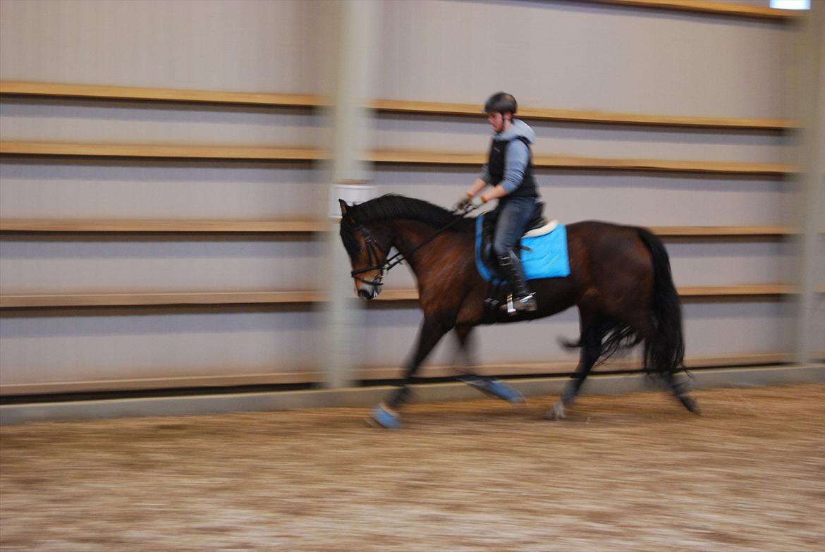 Oldenborg Korea billede 12