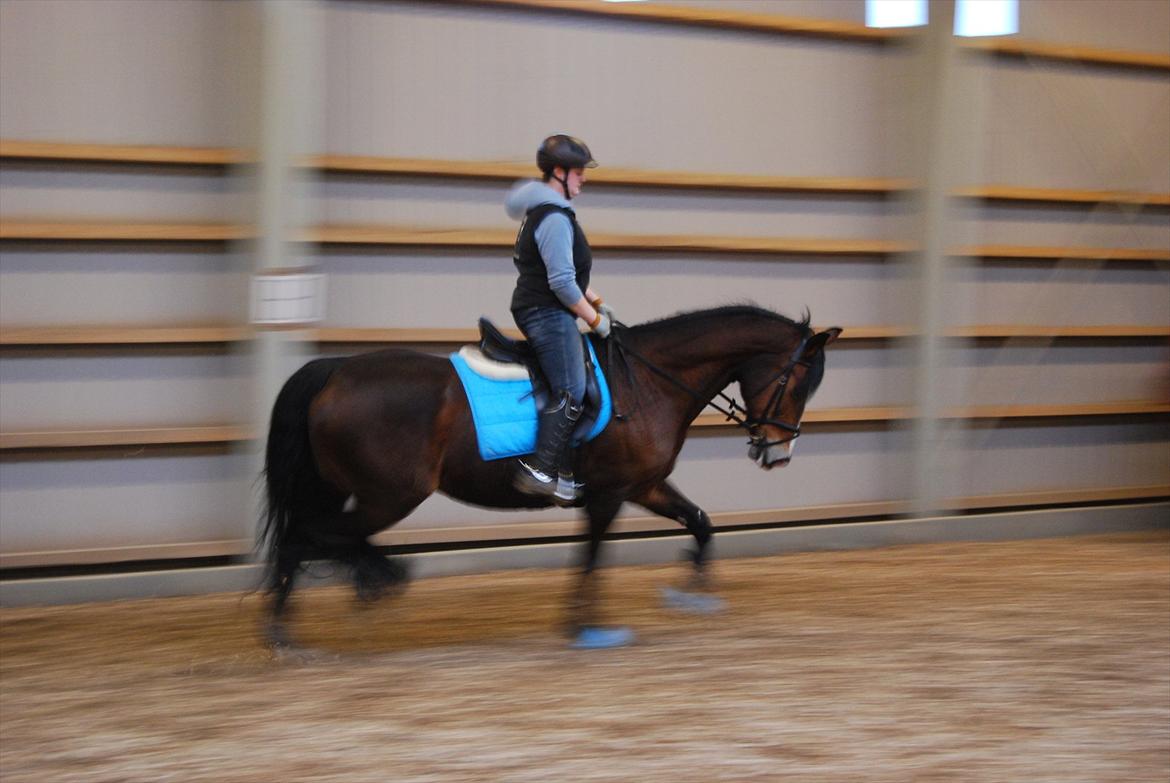 Oldenborg Korea billede 13